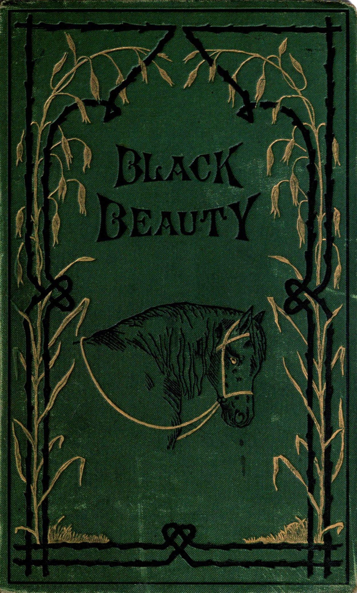 book review about black beauty