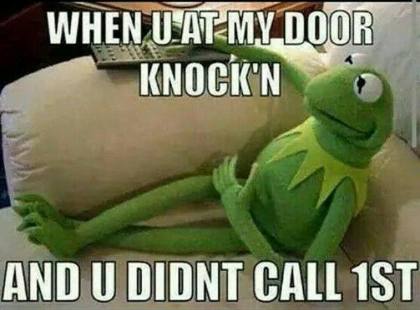 Kermit meme visitors