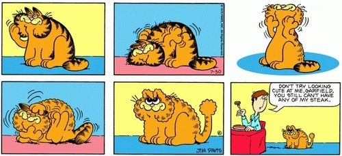 Garfield 1978