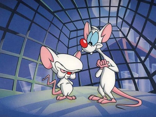Pinky and the brain